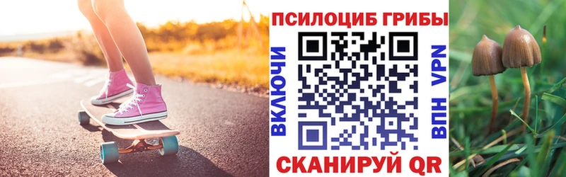 Псилоцибиновые грибы Psilocybine cubensis  где купить   блэк спрут онион  Вуктыл 